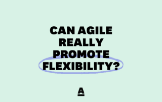 Can Agile Really Promote Flexibility?